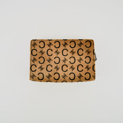 Celine Ponyhair Carriage Pouch