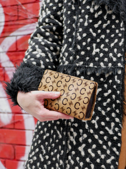 Celine Ponyhair Carriage Pouch